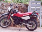 Honda XL 600R-M